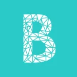 Payment System: Bankera 